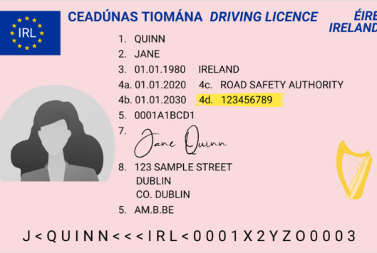 Driver Number Irish Driving Licence Sample