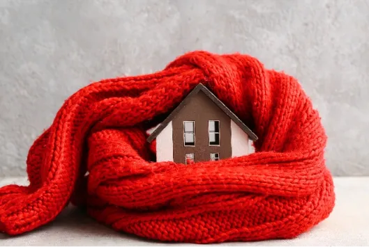 Home Winter Protection