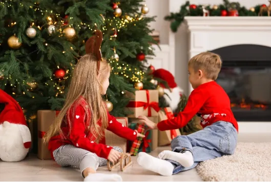 Home Security &amp; Safety at Christmas