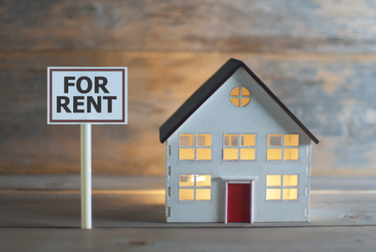 Renters Article